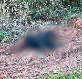 Mulher carbonizada encontrada em terreno na cidade de Três Lagoas. (Foto: Rádio Caçula)