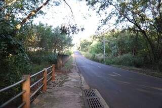 Área antes da limpeza, com matagal já ocupando parte da rua (Foto: Arquivo/ Alex Machado)