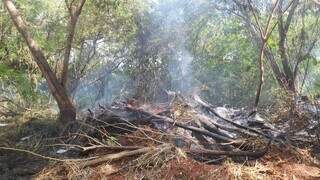 Reserva natural na Rua Cayová também apresentava foco de incêndio, com pequenas chamas (Foto: Guilherme Correia)