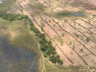Imagem aérea de desmatamento em meio a partes de terras alagadas, no Pantanal. (Foto: SOS Pantanal)