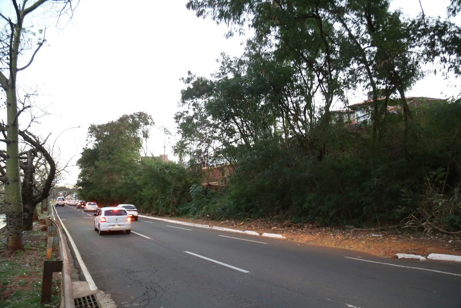 Desmatamento avança na Avenida Ricardão Brandão e paisagem ganha alvenaria