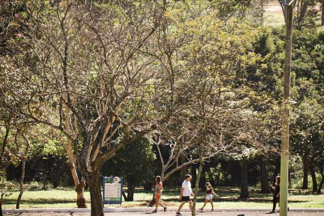 Parque das Na&ccedil;&otilde;es seguir&aacute; fechando &agrave;s 17h at&eacute; reparo da rede el&eacute;trica 