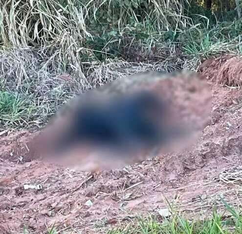 Corpo encontrado carbonizado em Tr&ecirc;s Lagoas &eacute; de jovem de 21 anos