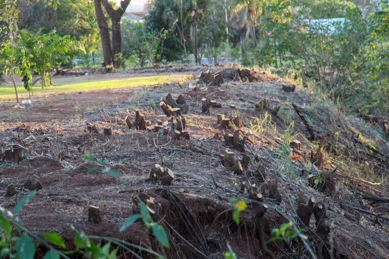 Campo Grande News