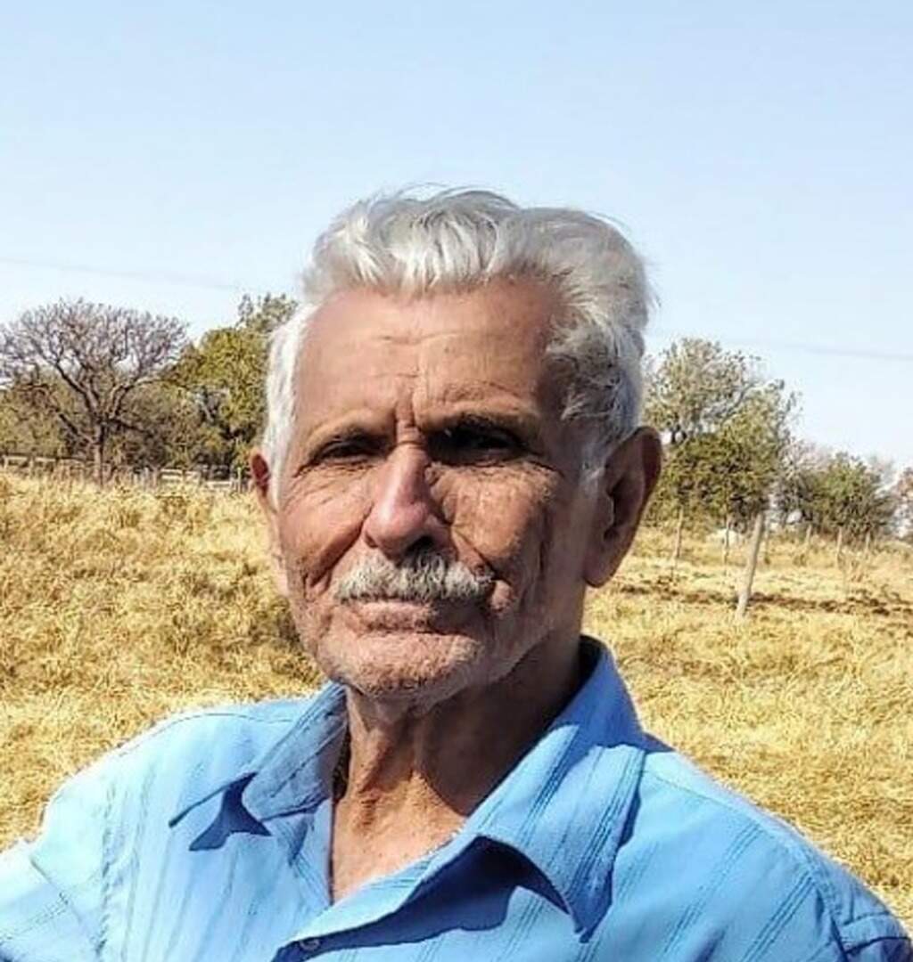 Após caminhada matinal, idoso com Alzheimer desaparece na Vila Carlota 