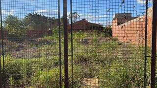 Terreno baldio localizado próximo à casa de Autemar, no bairro Oliveira I (Foto: Antonio Bispo)