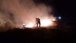 Brigadista apagando fogo no Pantanal em Porto Murtinho (Foto: Divulgação/Corpo de Bombeiros)