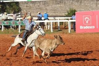 Competidor tenta laçar bezerro em prova (Foto: Divulgação/Acrissul)