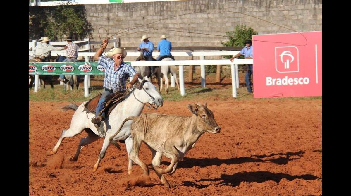 Parque do Peão terá competição feminina de laço neste feriado - Esportes -  Campo Grande News