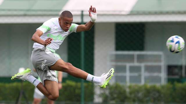 Domingo tem Palmeiras, Botafogo, S&atilde;o Paulo e Gr&ecirc;mio pelo Brasileir&atilde;o S&eacute;rie A