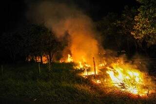 Terreno baldio incendiado na Vila Nasser. (Foto: Juliano Almeida)