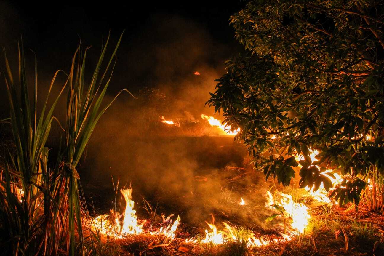 Combate a incêndio no Capão da Água Limpa durou 5 horas; aproximadamente 7  hectares foram consumidos pelo fogo