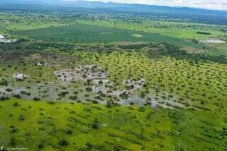 Promotores apontam temor com perda da bidiversidade no Pantanal (Foto: reprodução inquérito civil)