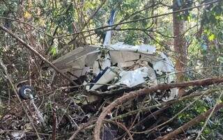 Destroços de avião foram encontrados no meio de mata na manhã de domingo (30) (Foto: Reprodução de vídeo)