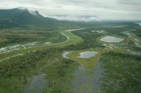 Fórum irá reunir cerca de 100 palestrantes para discutir conservação do Pantanal