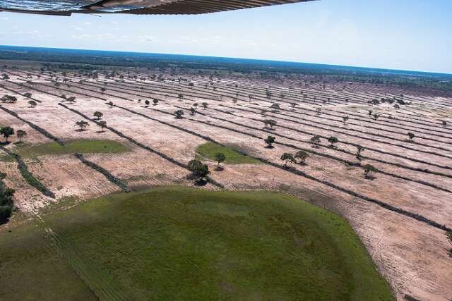 Em defesa do Pantanal, frente parlamentar ser&aacute; lan&ccedil;ada nesta quarta