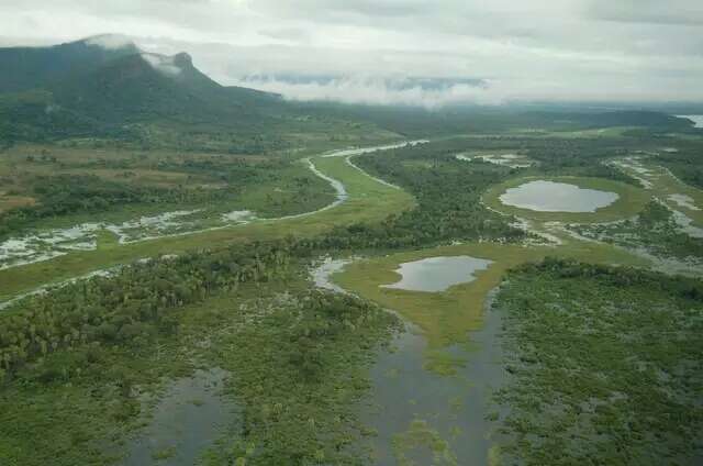 F&oacute;rum ir&aacute; reunir cerca de 100 palestrantes para discutir conserva&ccedil;&atilde;o do Pantanal