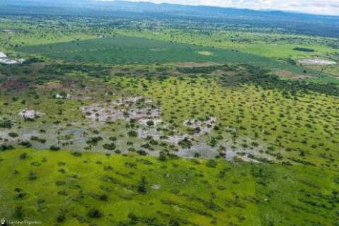 Ministério quer fim de desmatamentos no Pantanal