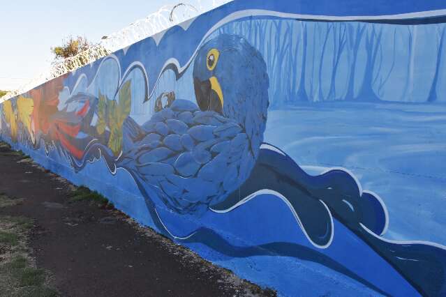 Araras e capivaras ganham espa&ccedil;o em muro colorido do bairro Pioneiros