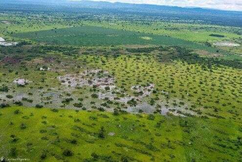 Minist&eacute;rio quer fim de desmatamentos no Pantanal