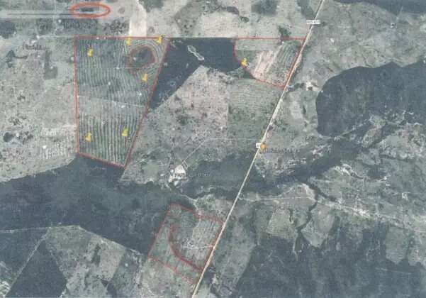 Desmatamento no Cerrado atinge marca de 1.236,82 km&sup2; entre 2018 e 2023