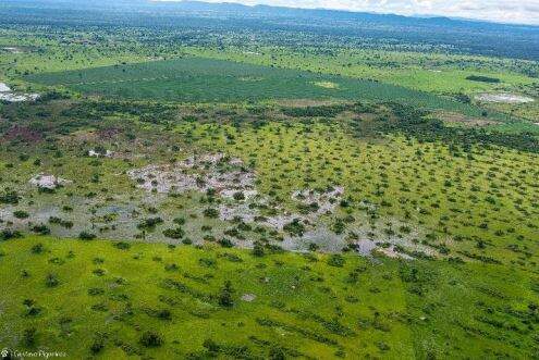 Ministério quer fim de desmatamentos no Pantanal