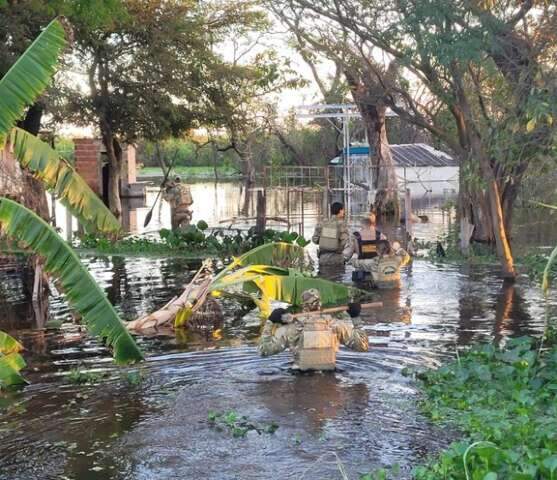 On&ccedil;a adulta, encontrada sem cabe&ccedil;a, faz PF deflagrar opera&ccedil;&atilde;o no Pantanal 