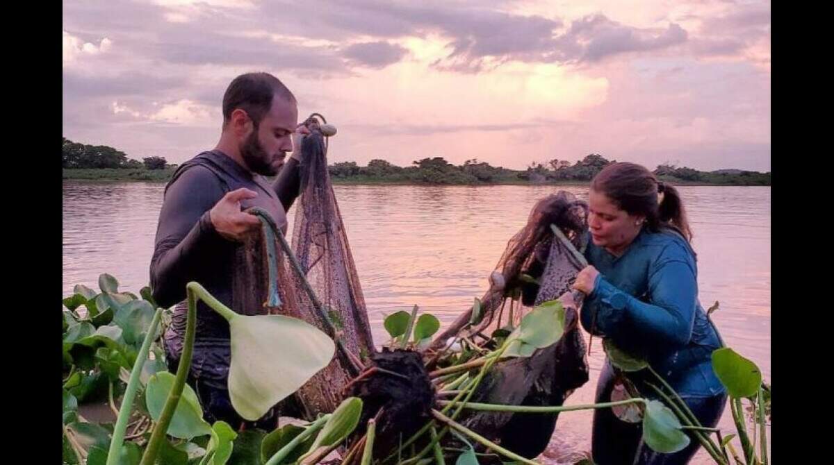 Projeto que proíbe pesca profissional é defendido também para