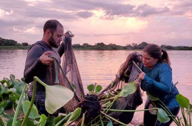 Pantanal &eacute; o bioma que mais preserva animais silvestres, diz estudo