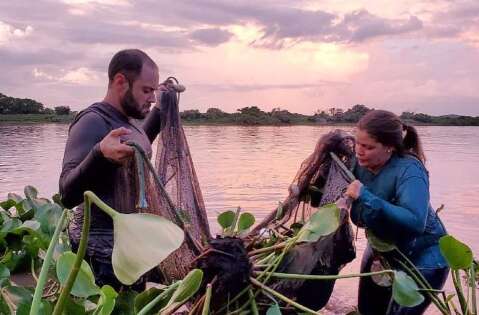 Pantanal é o bioma que mais preserva animais silvestres, diz estudo