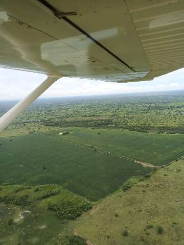 Pantanal tem quase 85% da &aacute;rea preservada, diz conselho ambiental