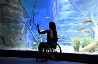 Mulher cadeirante visita o Bioparque Pantanal (Foto: Bruno Rezende)