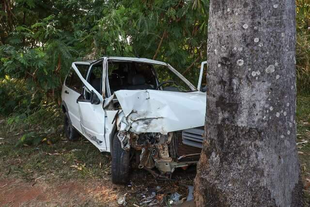 Motorista perde o controle do carro e bate em &aacute;rvore &agrave;s margens do c&oacute;rrego 