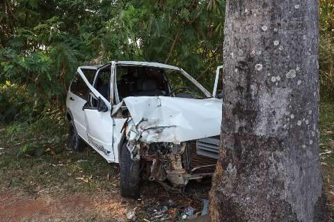 Motorista perde o controle do carro e bate em árvore às margens do córrego 