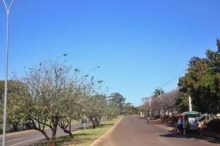 Tempo na Avenida Senador Antônio Mendes Canalle (Foto: Paulo Francis)