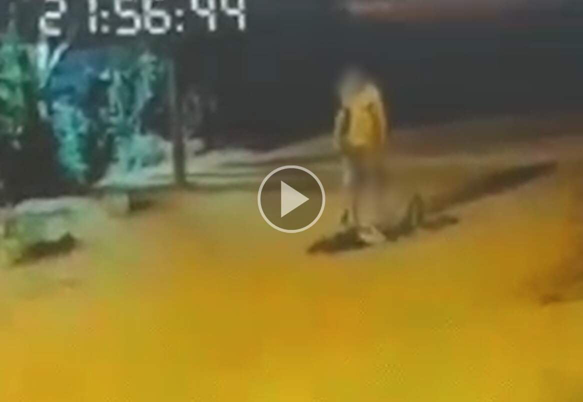 Câmera de segurança mostra filho perseguindo e agredindo a mãe no meio da rua 