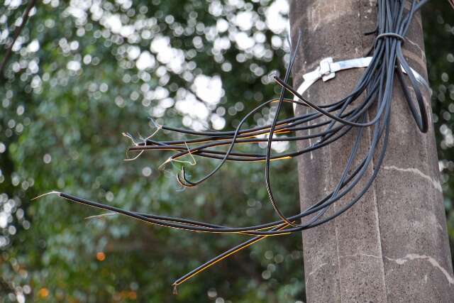 Em avenida do Bairro Amamba&iacute;, moradores reclamam de &quot;cena comum&quot; com fios ca&iacute;dos