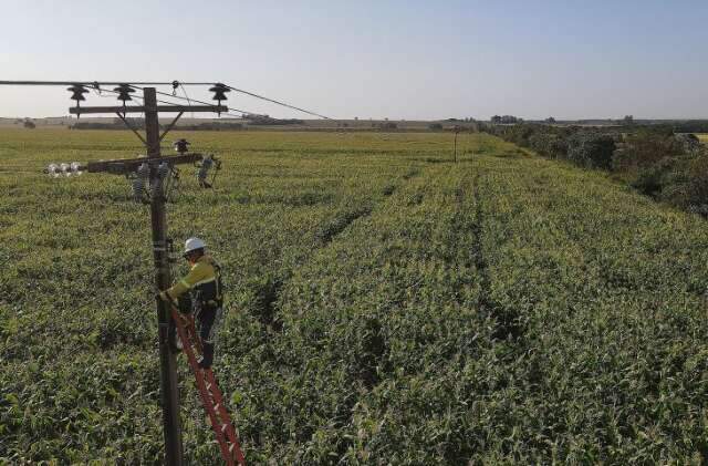 Infovia Digital: Campo Grande j&aacute; tem 98% de fibra &oacute;ptica implantada