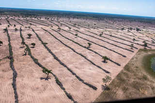 Desmatamento no Pantanal de Mato Grosso do Sul. (Foto: Gustavo Figueirôa/SOS Pantanal)