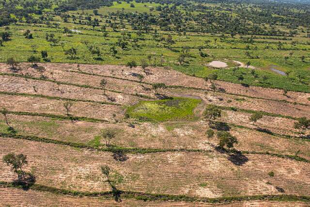 Desmatamento no Pantanal aumentou 174% no primeiro semestre do ano