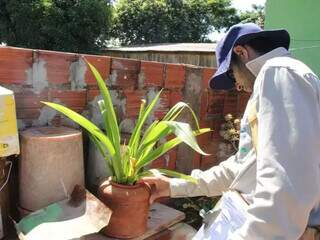 Agente de saúde procura água parada em vasos de plantas na Capital. (Foto: Arquivo)
