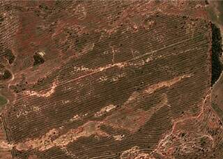 Imagem de satélite mostra desmatamento no Pantanal. (Foto: Reprodução)