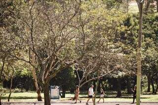 Pessoas caminhando no Parque das Nações Indígenas durante tempo seco na Capital (Foto: Henrique Kawaminami)