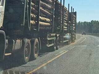 Aumento do tráfego de caminhões pela BR-262 tornou constante a preocupação com a segurança na rodovia (Foto: Direto das Ruas)