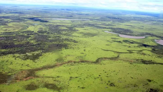 Vista aérea do Pantanal de Corumbá. (Foto: Arquivo)