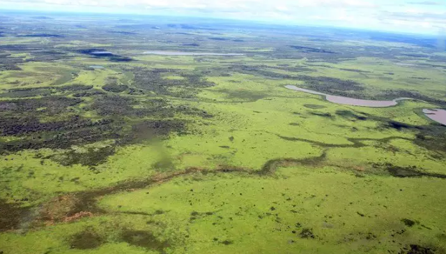 Conserva&ccedil;&atilde;o e uso sustent&aacute;vel do Pantanal ser&atilde;o tema de f&oacute;rum na Capital