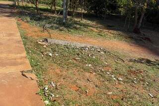 Partes da cerca de proteção estão derrubadas ao longo do parque (Foto: Juliano Almeida)