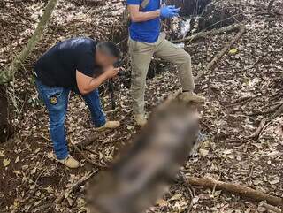 Corpo mumificado &eacute; encontrado em ch&aacute;cara de Campo Grande