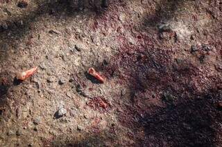 Dentes da vítima e sangue no local do espancamento. (Foto: Henrique Kawaminami)