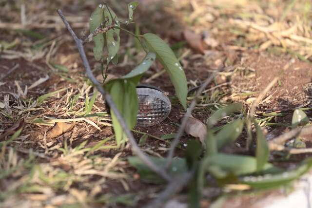 Motociclista morre ao atingir canteiro e &aacute;rvore na Via Parque